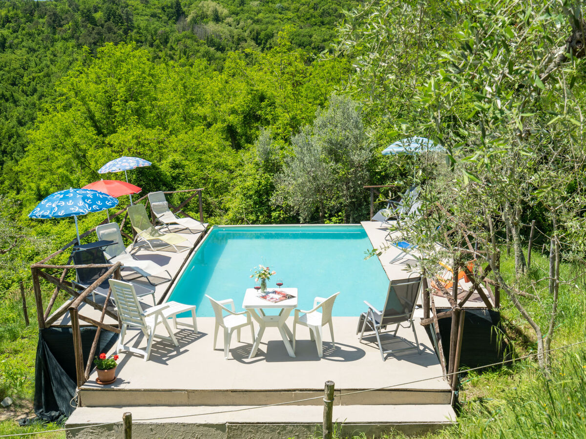 Il Castagneto – Gîte 6 pers. avec piscine à Rufina - Photo 34