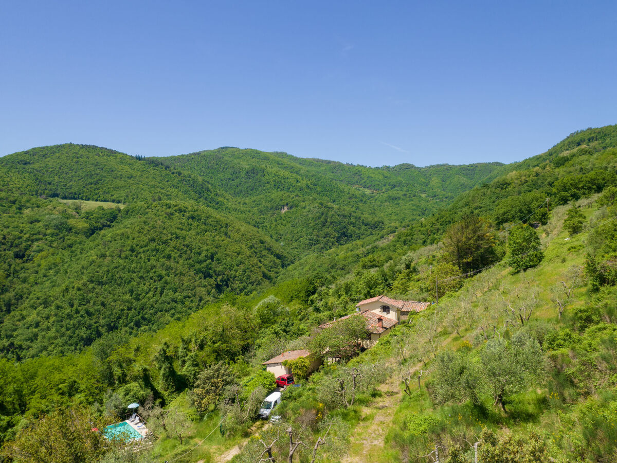 Il Castagneto – Gîte 6 pers. avec piscine à Rufina - Photo 35