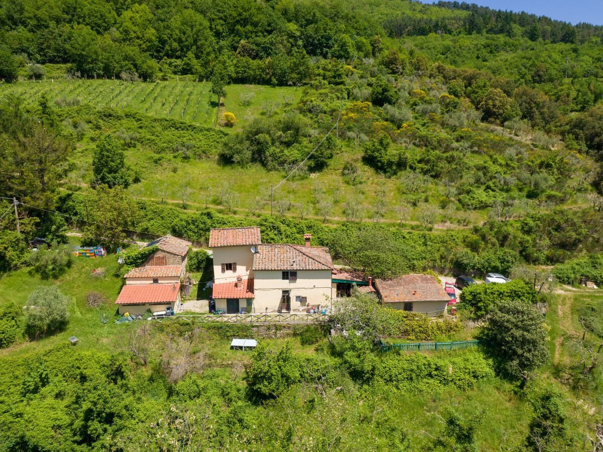 Il Castagneto – Gîte 6 pers. avec piscine à Rufina - Photo 36