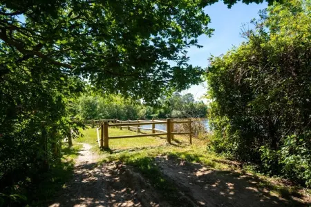 Moulin du 13e siècle rénové, étang privé à Ferce : photo 34