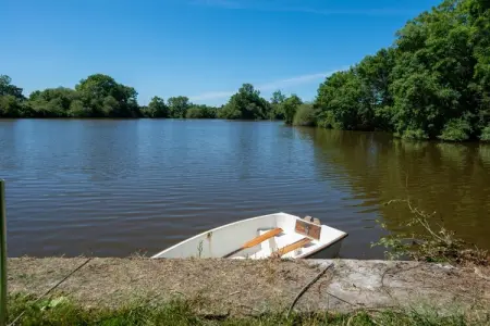 Moulin du 13e siècle rénové, étang privé à Ferce : photo 35