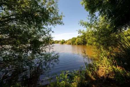 Moulin du 13e siècle rénové, étang privé à Ferce : photo 37