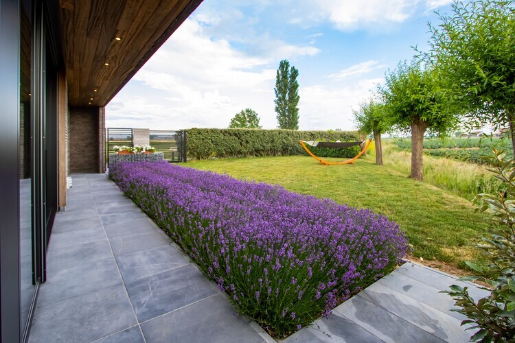 De Baraque – Maison 10 personnes, spa privé à Haringe - Photo 33