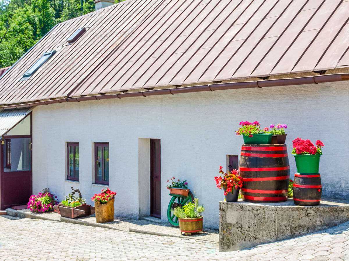 Maison Maja à Fužine avec piscine privée - Photo 25