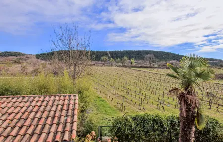 Maison 12 personnes à Lussas - Photo 10