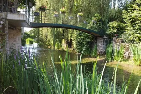 Maison 2 chambres au bord de l'Ouche en Bourgogne : photo 5