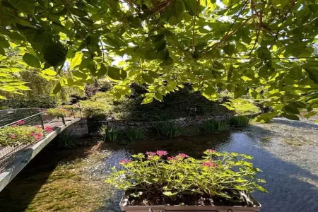 Maison 2 chambres au bord de l'Ouche en Bourgogne : photo 35