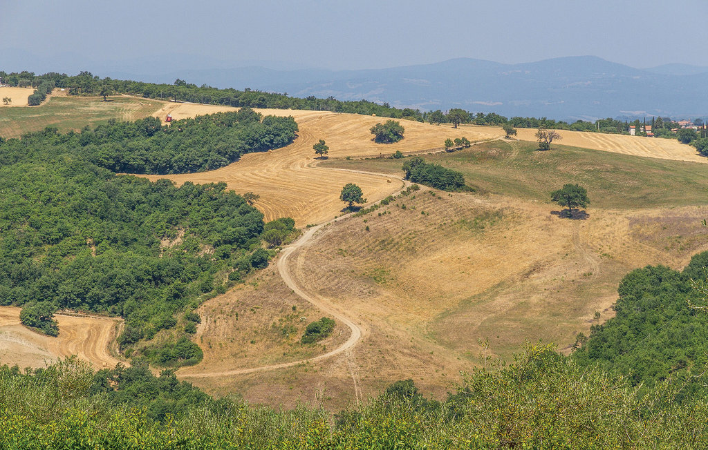 La Casina del Melograno, maison Civitella Marittima - Photo 5