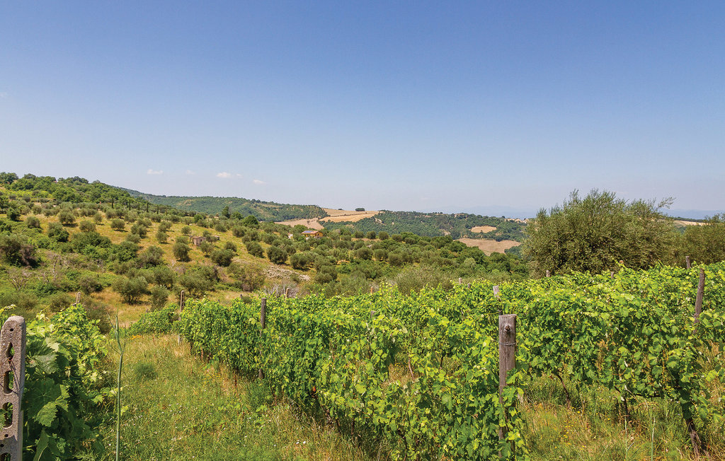 La Casina del Melograno, maison Civitella Marittima - Photo 15