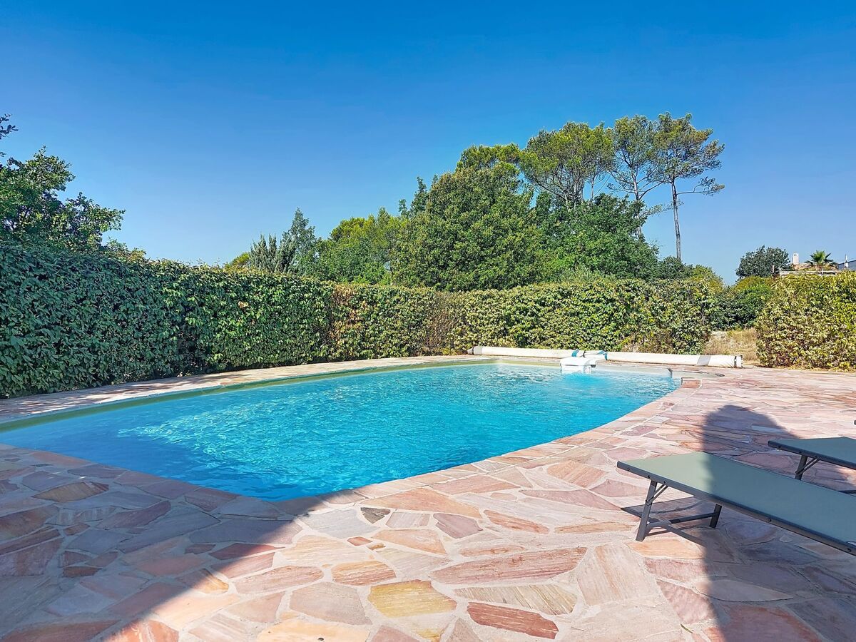 Maison Bois d'Astros à Rocbaron, piscine et 5000 m² - Photo 31