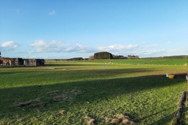 La Bergerie : maison 5 pers. à la campagne, Porcheresse Daverdisse - Photo 30