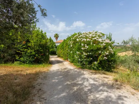 Fonte del Ceppo 1 – Maison 10 pers. avec piscine - Photo 17