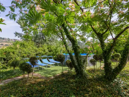 Fonte del Ceppo 1 – Maison 10 pers. avec piscine - Photo 18