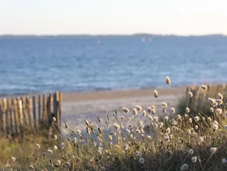 Coët A Tous, Location Maison 6 personnes à Carnac - Photo 20