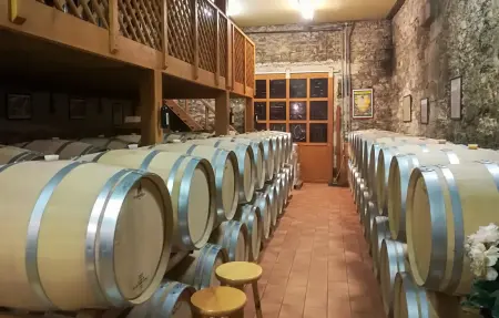 Maison 10 personnes avec piscine chauffée à Saint Rémy : photo 16