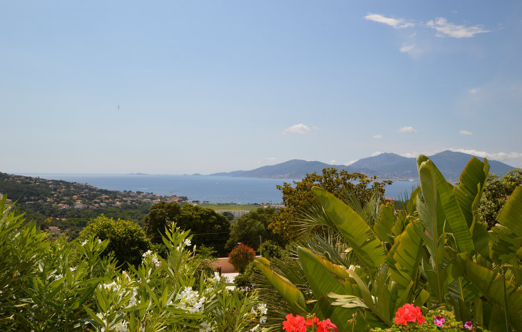 Villa 4 chambres vue golfe d'Ajaccio à Porticcio - Photo 9