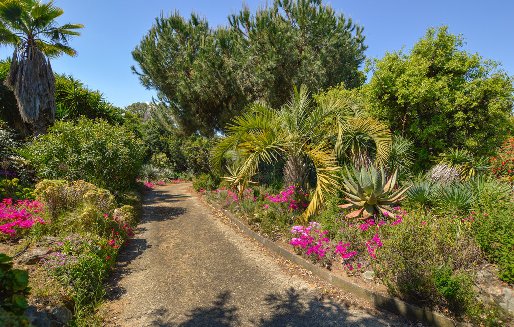 Villa 4 chambres vue golfe d'Ajaccio à Porticcio - Photo 12