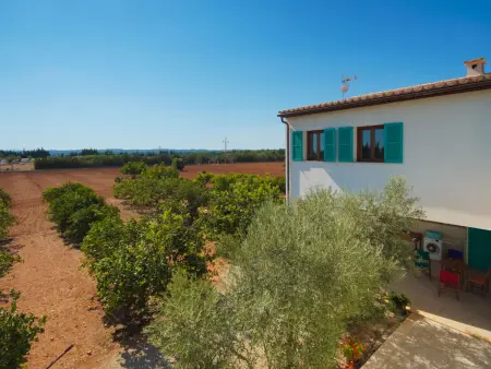 Son Vivot - Maison 250m² avec piscine à Inca - Photo 61