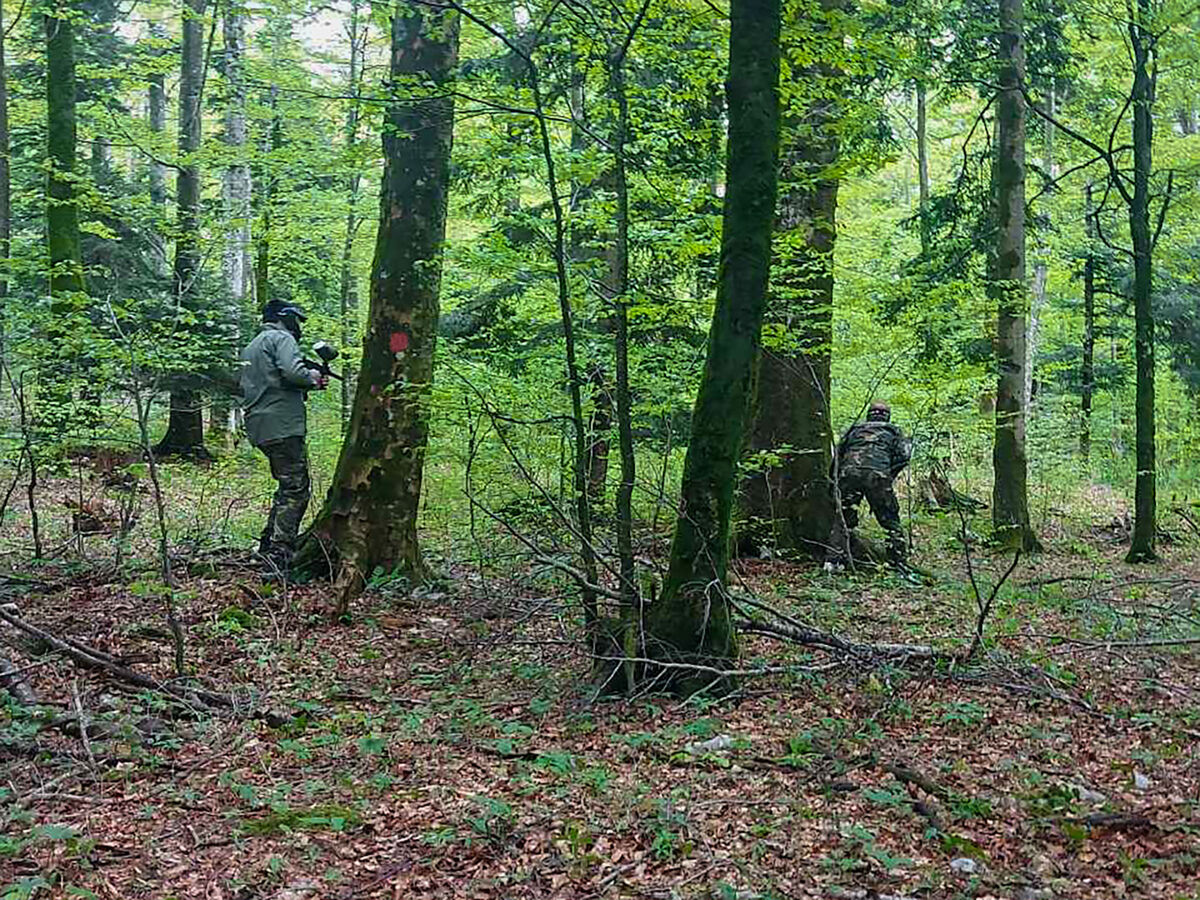 Legendao – Maison 9 pers. forêt à 900 m d'altitude - Photo 29