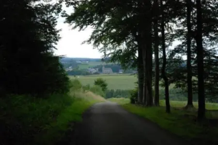 Chalet Rogery 64 : nature et cerfs à 5 km de Gouvy : photo 22