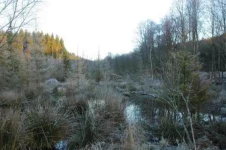 Chalet Rogery 64 : nature et cerfs à 5 km de Gouvy : photo 25