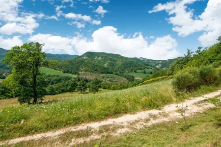 Frigino, Maison à Città di Castello avec Piscine - Photo 34