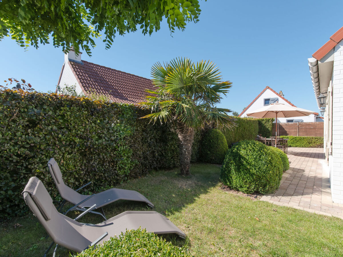Maison 3 chambres avec terrasse sud à Bredene - Photo 3