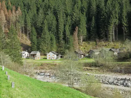 Rustico Catcüc, Maison 4 personnes à Malvaglia - Photo 31