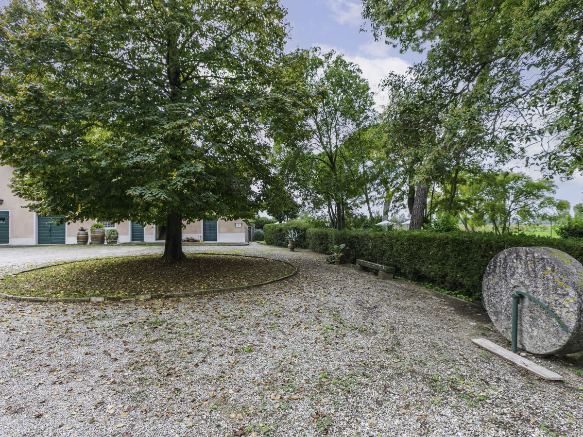 Fattoria di Scaletta – Villa 20 pers. avec piscine - Photo 37