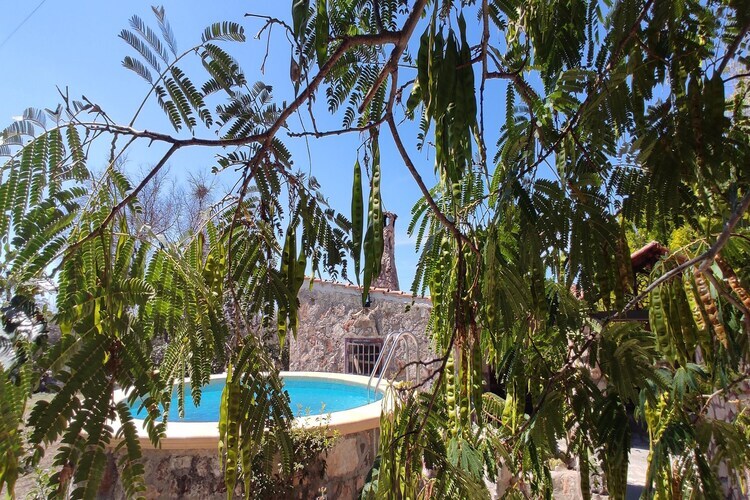 Villa Barone Guest House – Maison 6 pers. avec piscine - Photo 5