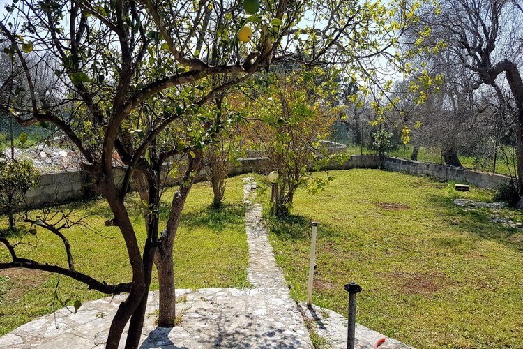 Villa Barone Guest House – Maison 6 pers. avec piscine - Photo 30
