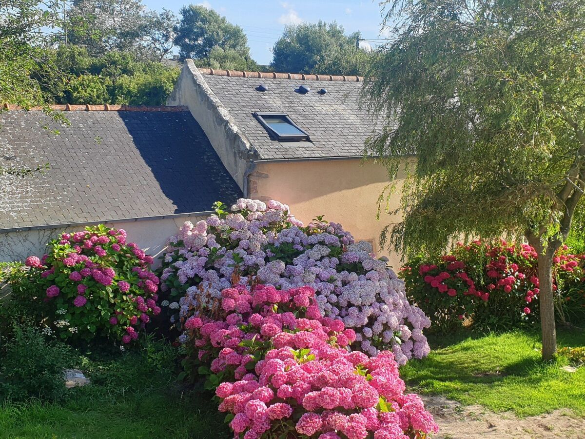 Ty va Zud – Maison 4 pers. à 800 m de la mer - Photo 31