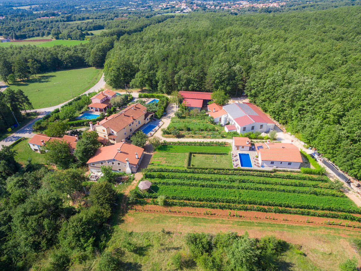 Maison Edi à Rovinj : piscine privée, 5 chambres - Photo 44