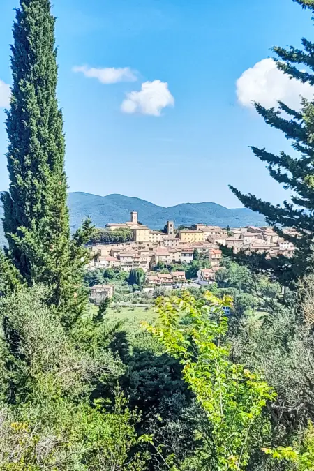 La Rocchetta, Maison 8 personnes à Guardistallo - Photo 29