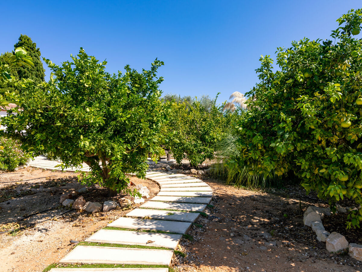 Villa Finca Labranza – 260 m² avec piscine à Javea - Photo 45