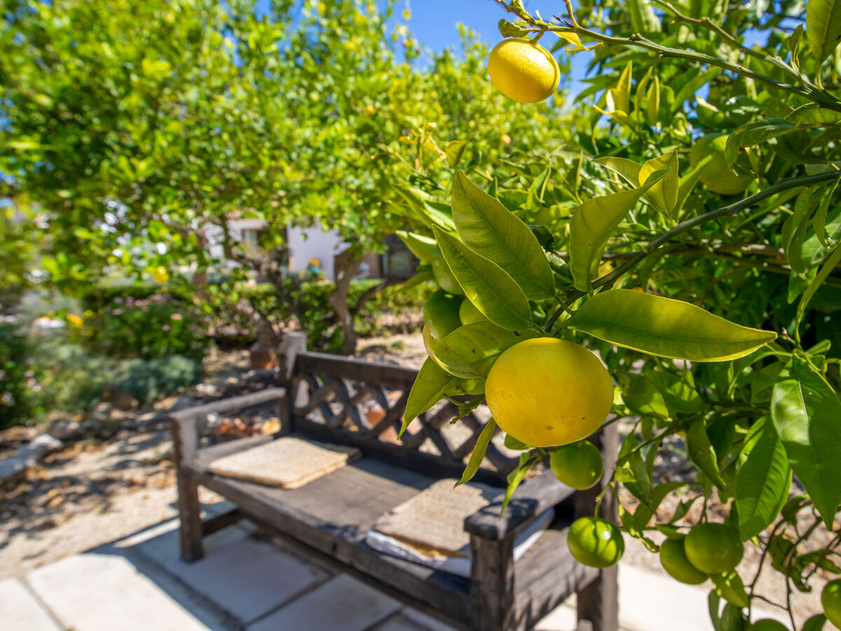 Villa Finca Labranza – 260 m² avec piscine à Javea - Photo 47