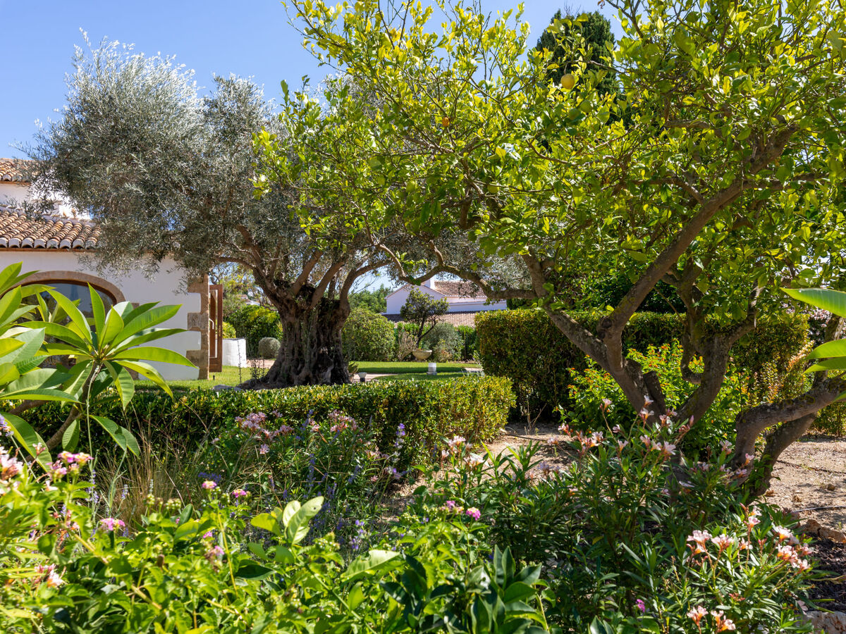 Villa Finca Labranza – 260 m² avec piscine à Javea - Photo 49