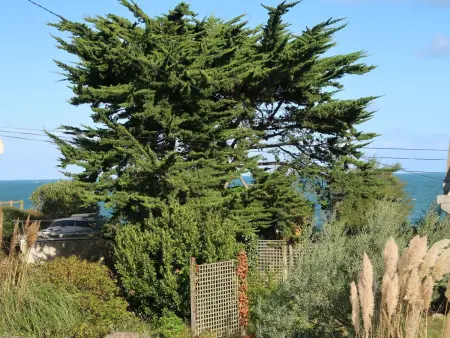 Le Coup de Coeur – Maison 6 pers. à 250 m de la plage - Photo 16