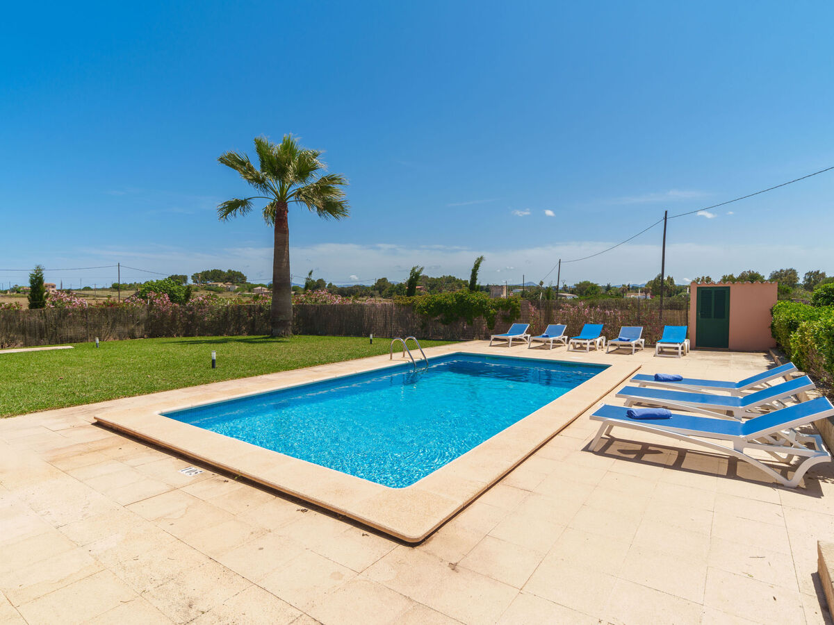 Can Butxet – Maison 8 personnes avec piscine à Can Picafort - Photo 27