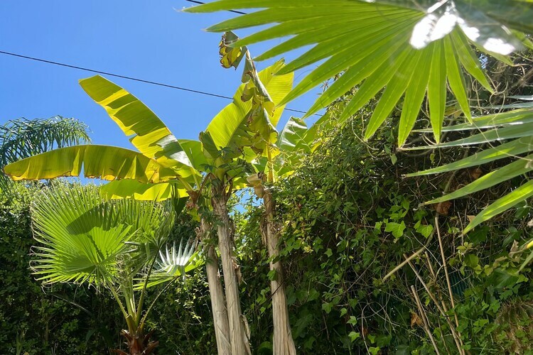 Casa Porto do Son – Maison 5 pers. à 100 m de la plage - Photo 18