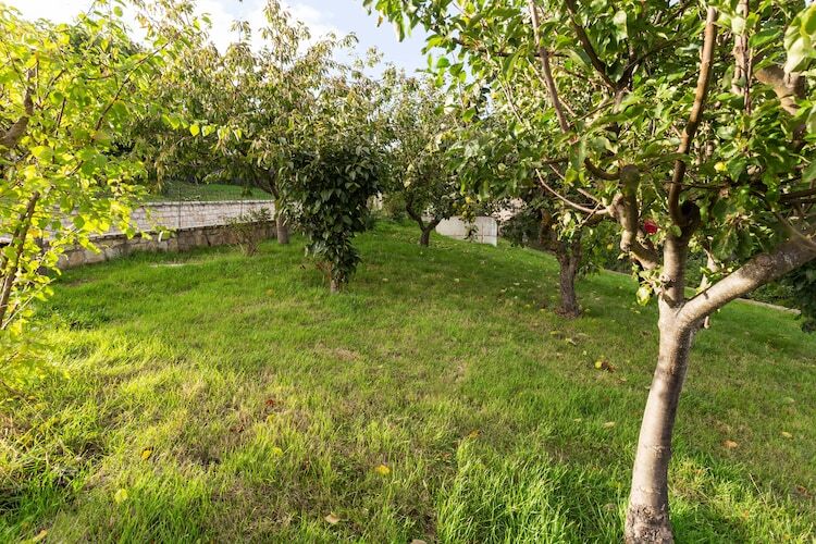 Casa Vacanza BeCampobasso 6 – Maison 3 chambres avec piscine - Photo 6