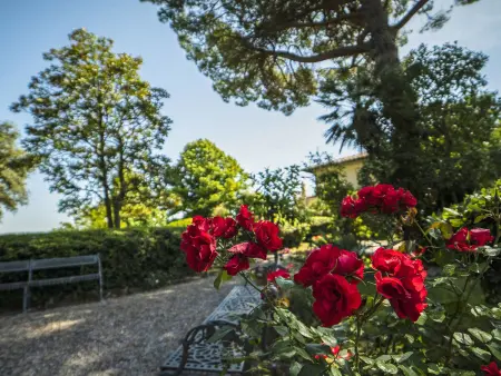 Villa La Guardia Vecchia, Location Gite 18 personnes à Crespina Lorenzana - Photo 19