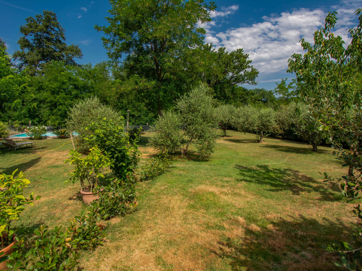 Maison Elena à Orentano avec piscine partagée - Photo 32