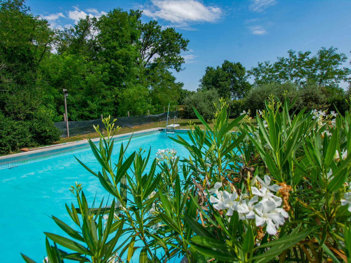 Maison Elena à Orentano avec piscine partagée - Photo 35