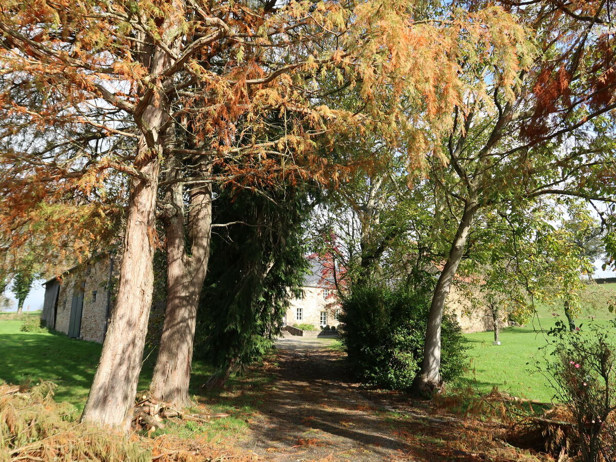La Tronçonnais, gîte 6 pers. avec étang à Val Couesnon - Photo 24