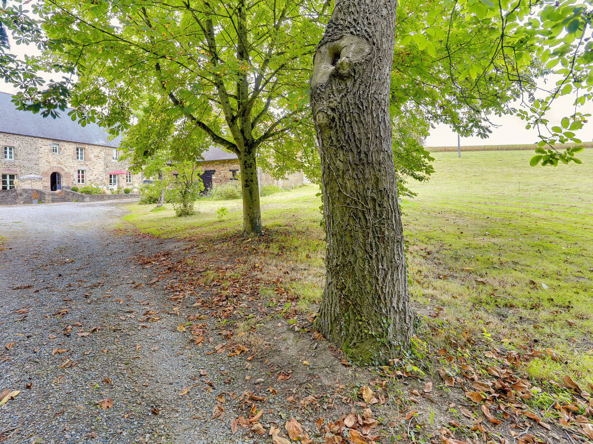 La Tronçonnais, gîte 6 pers. avec étang à Val Couesnon - Photo 26