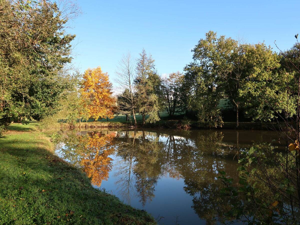 La Tronçonnais, gîte 6 pers. avec étang à Val Couesnon - Photo 27