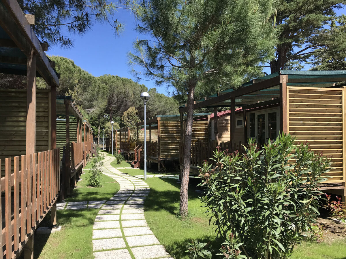 Mobil-home 3 pièces Campeggio del Forte à 500 m de la mer - Photo 4
