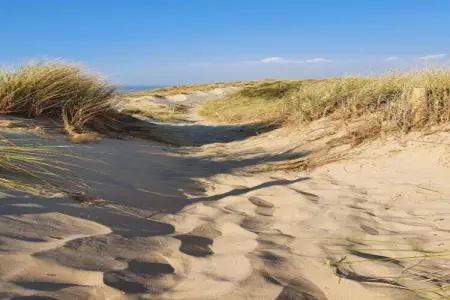 Villa Breeduyn Village 4 - 10 min de la plage : photo 25