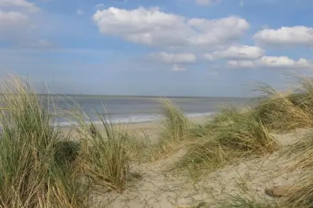 Villa Breeduyn Village 5 – 10 min plage Bredene : photo 24